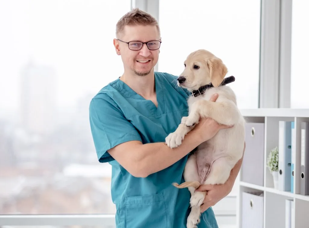 Vet holding healthy dog